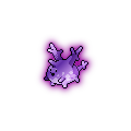 Shadow Corsola